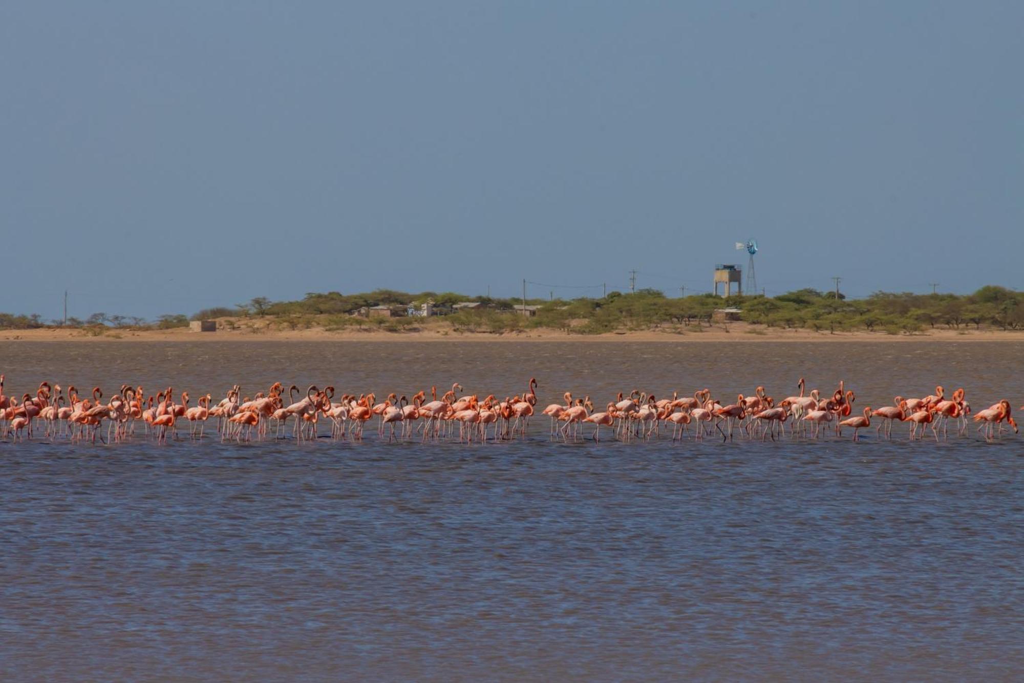 Bethel Playa Mayapo Екстериор снимка